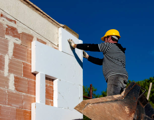 Best Residential Insulation in Needville, TX